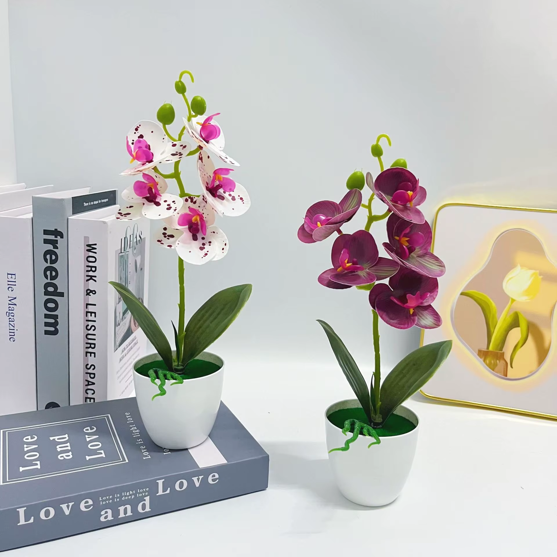 Plantes en pot d'orchidées papillon à 5 fleurs