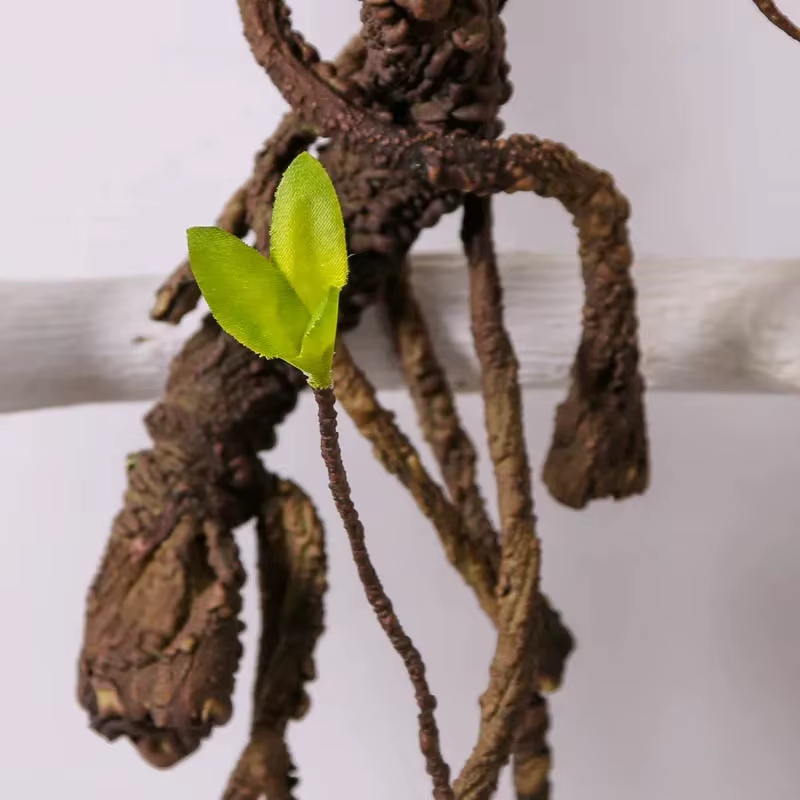 Vigne séchée de verdure artificielle