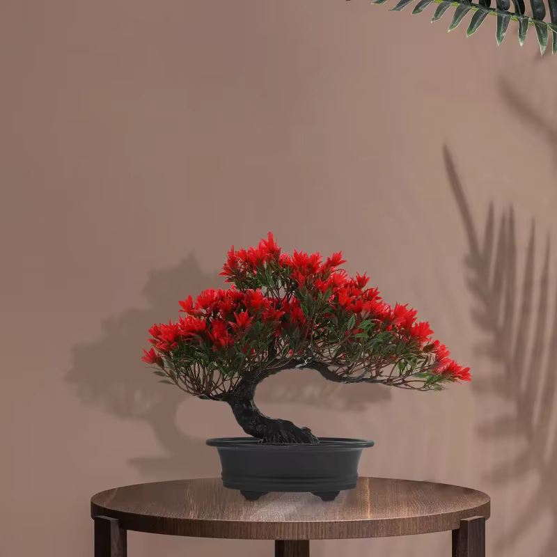 Bonsaï réaliste en pin rouge