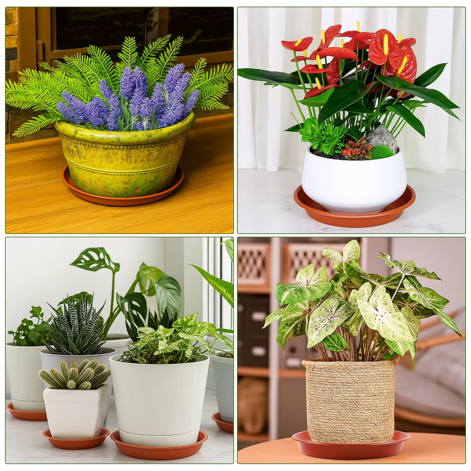 Paquet de 12 soucoupes pour pots de plantes – 4 tailles (18/22/24/26 cm) plateaux anti-goutte en plastique