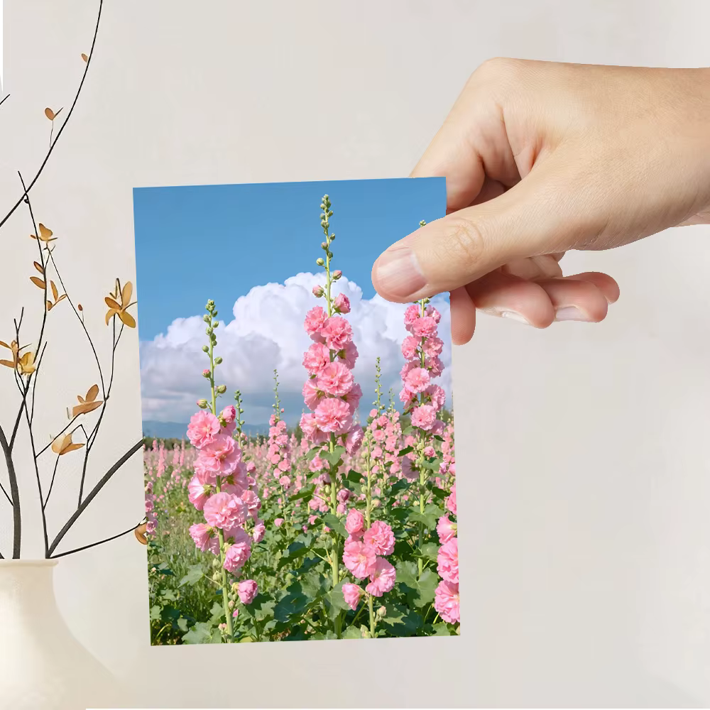 Série de cartes postales de plantes de guérison