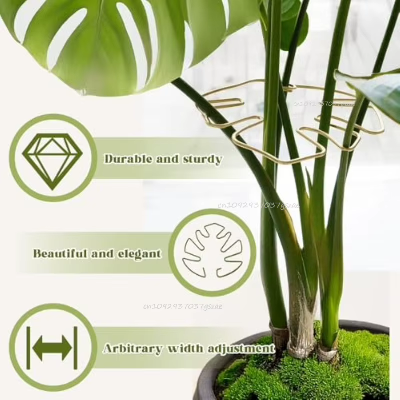 Support pour plantes hautes