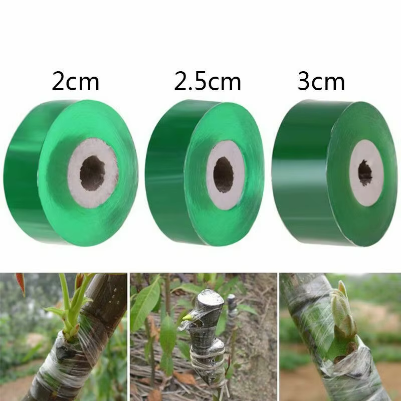1 rouleau de ruban de fixation pour plantes élastique