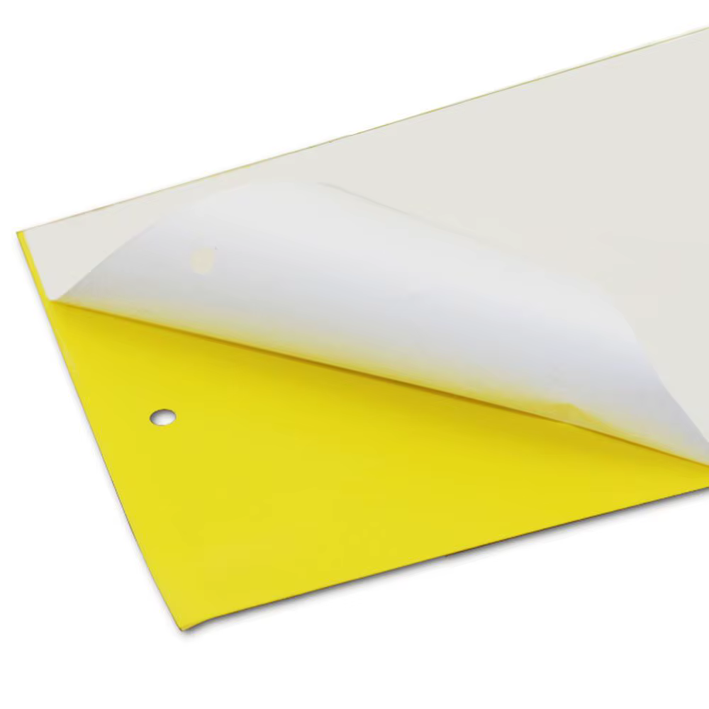 Piège collant double face pour insectes