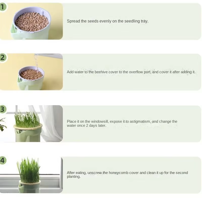 Nouveau plat de germe de chat pour animaux de compagnie Pot de culture plante hydroponique