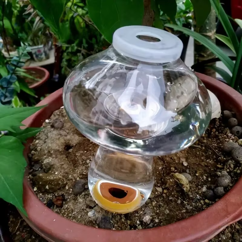 Arrosage planteur insérer amour en forme automatique plante abreuvoir pulvérisateur eau goutte