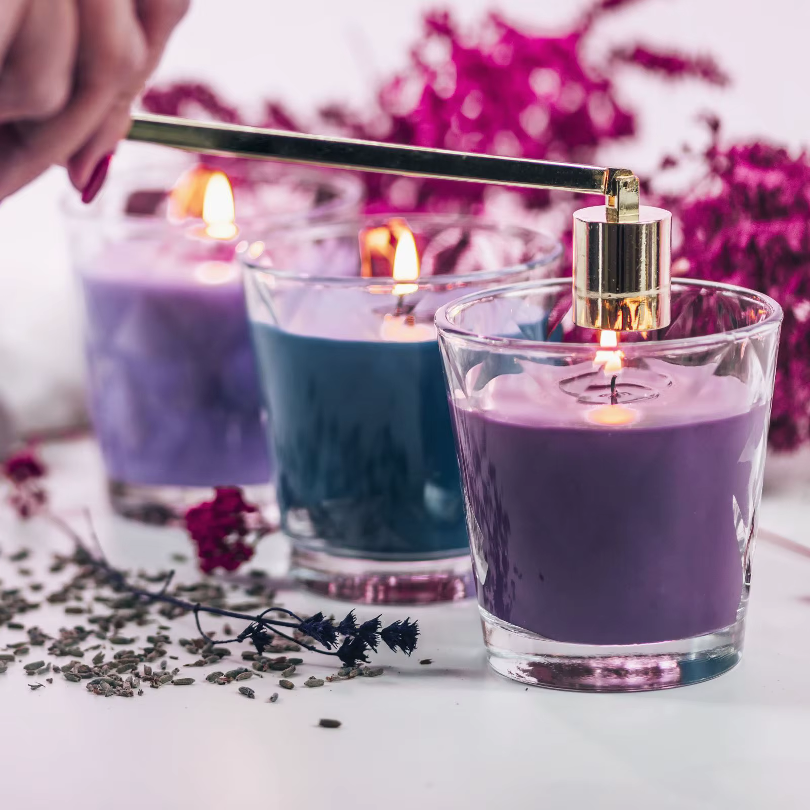 Fleur séchée naturelle pour bougie