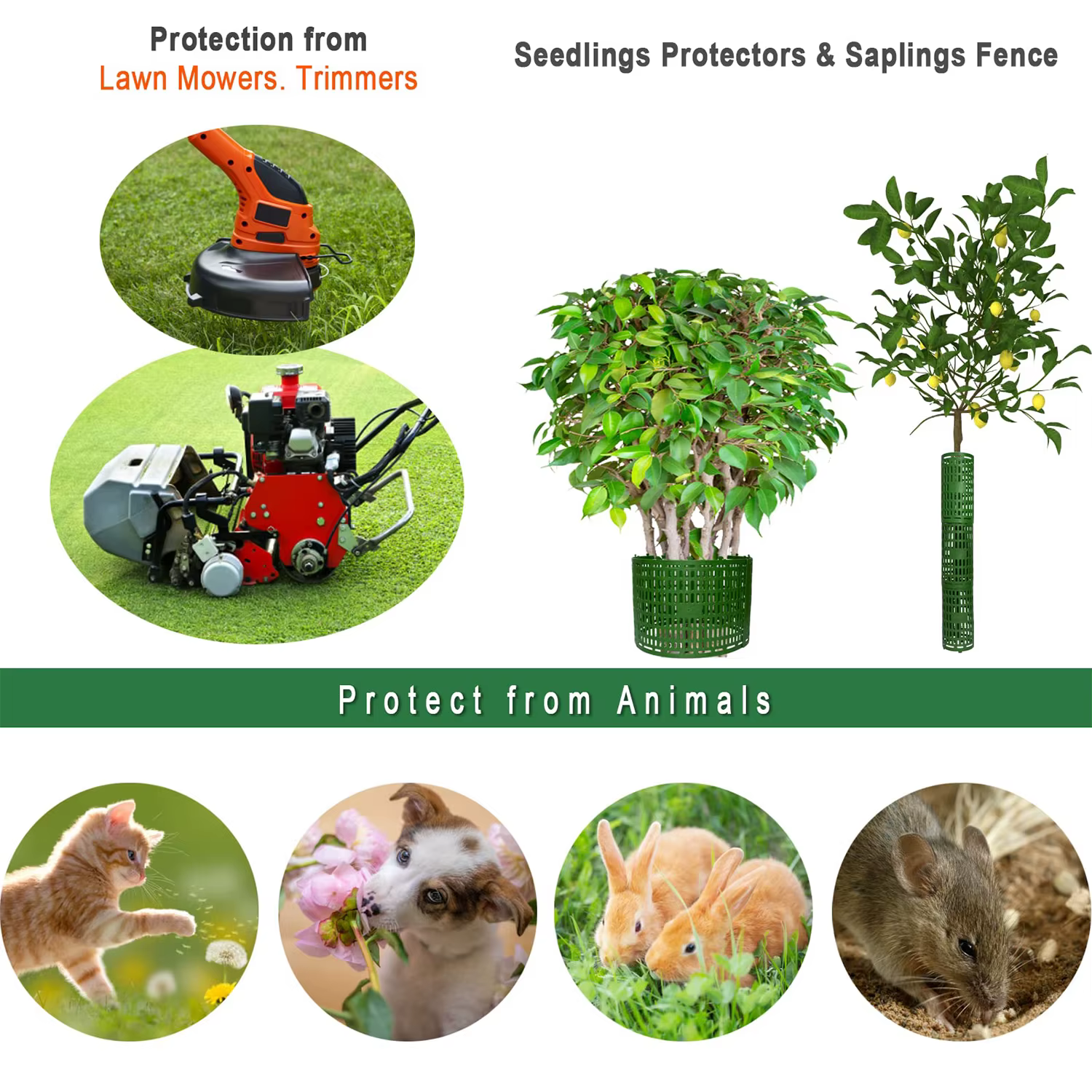 Protecteurs de tronc de plantes