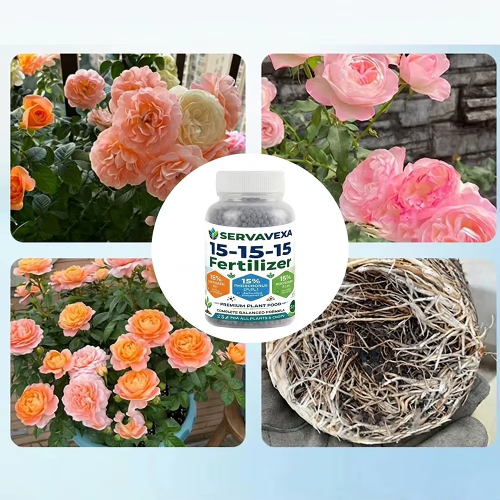 Engrais granulaire premium 15-15-15 - Alimentation végétale NPK équilibrée (azote