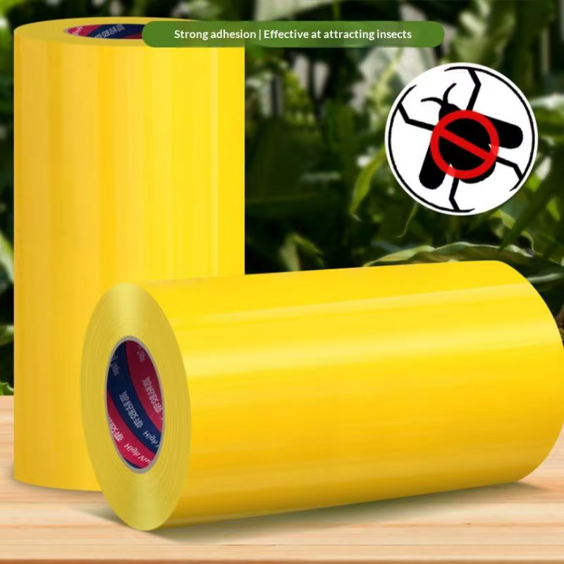 1 rouleau de ruban adhésif double face jaune de 10 m pour le contrôle des parasites du jardin