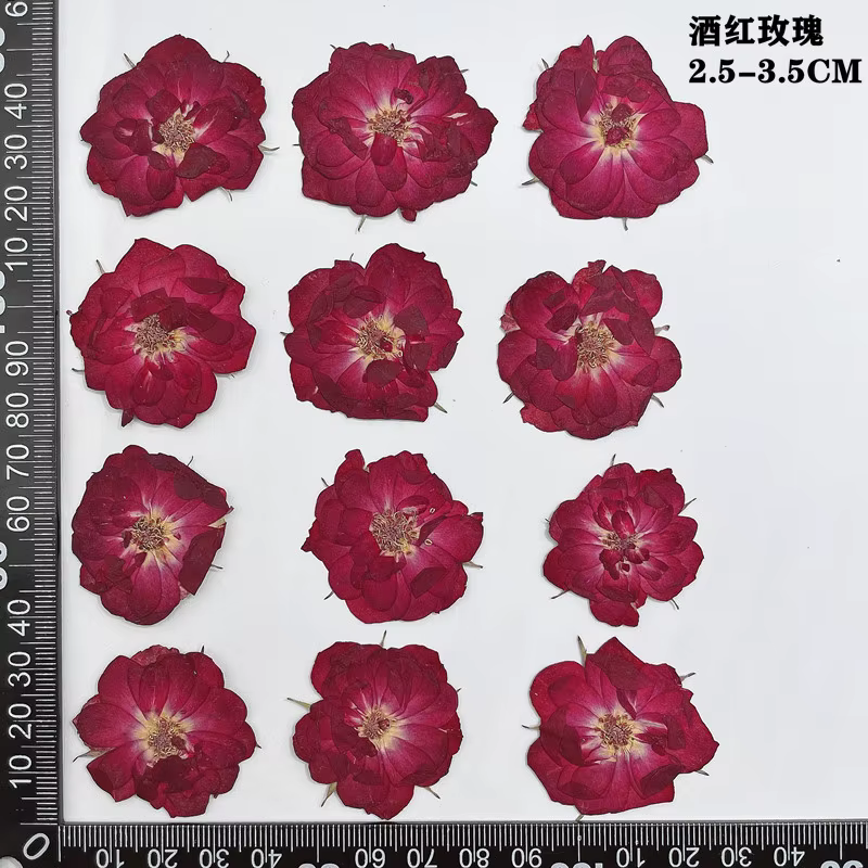 60 pièces pressées séchées rouge jaune Rose