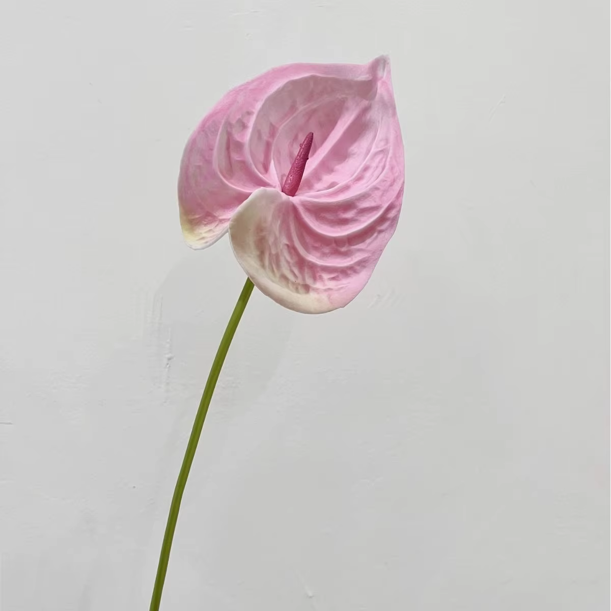 Plante artificielle Anthurium Peace Lily de haute qualité de 22