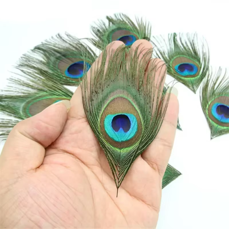 Plumes de paon naturelles pour la création de bijoux