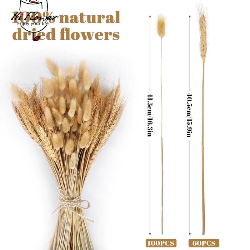 160 Pièces de Fleurs Séchées Naturelles en Épis de Blé pour Décoration Bohème