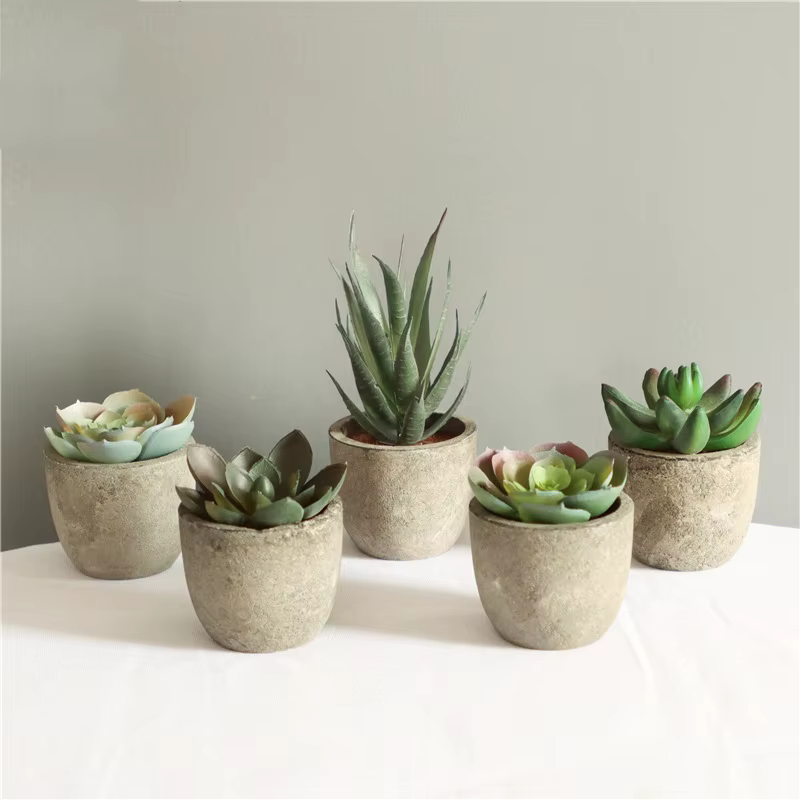 Mini plantes artificielles à l'aloe vera