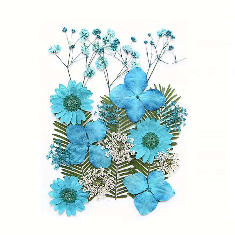 14 styles de fleurs séchées DIY, élégantes et magnifiques, fleurs artificielles de mignonnonneux, décoration créative simple de fleurs pressées