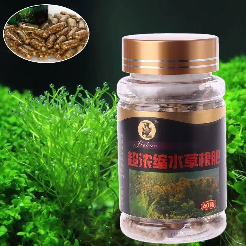 60 PCS CAPSULES RACHES PLANTES