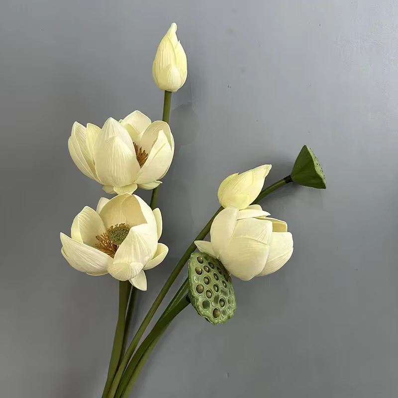 Simulation de bourgeon de Lotus en PU