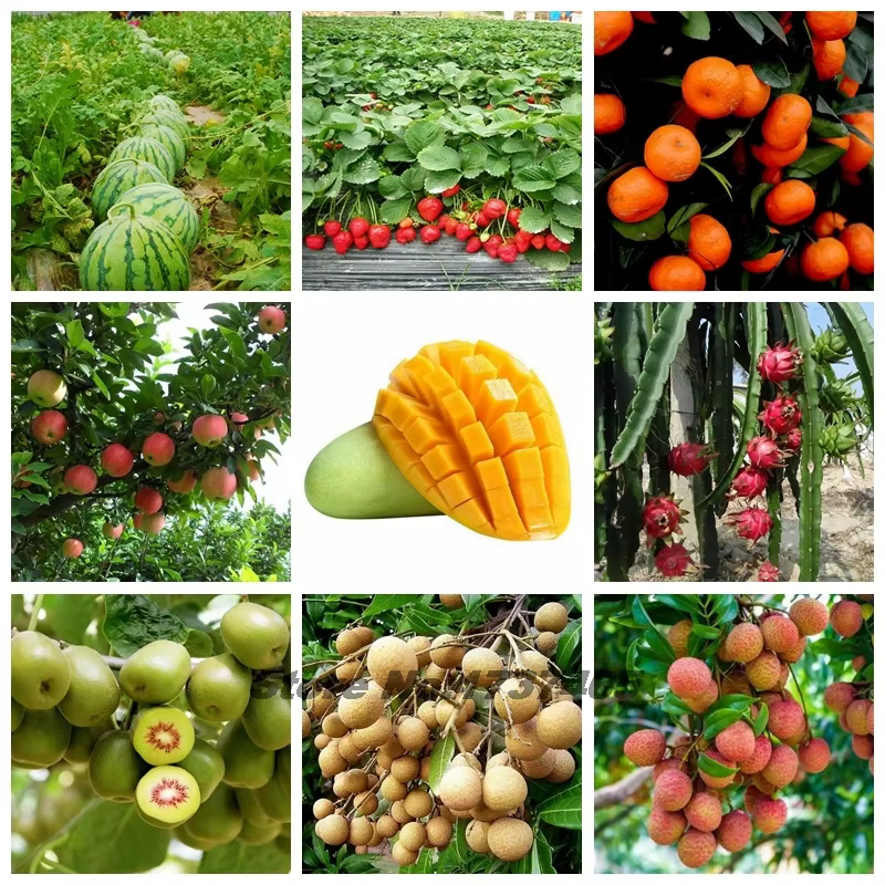 Engrais spécial aux fruits