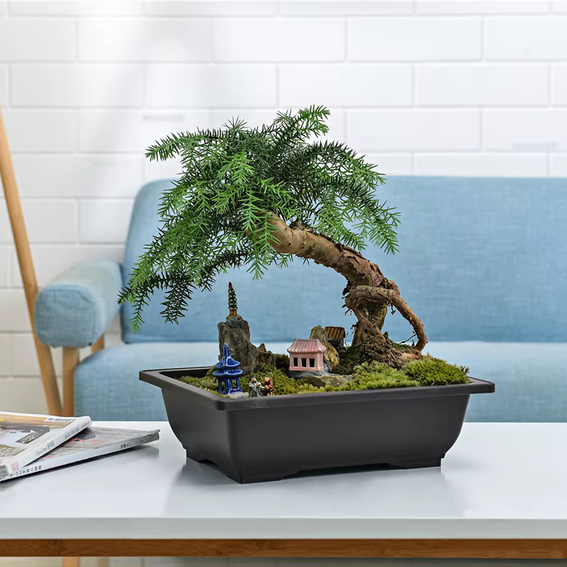 Pots pour plantes, pot de fleurs