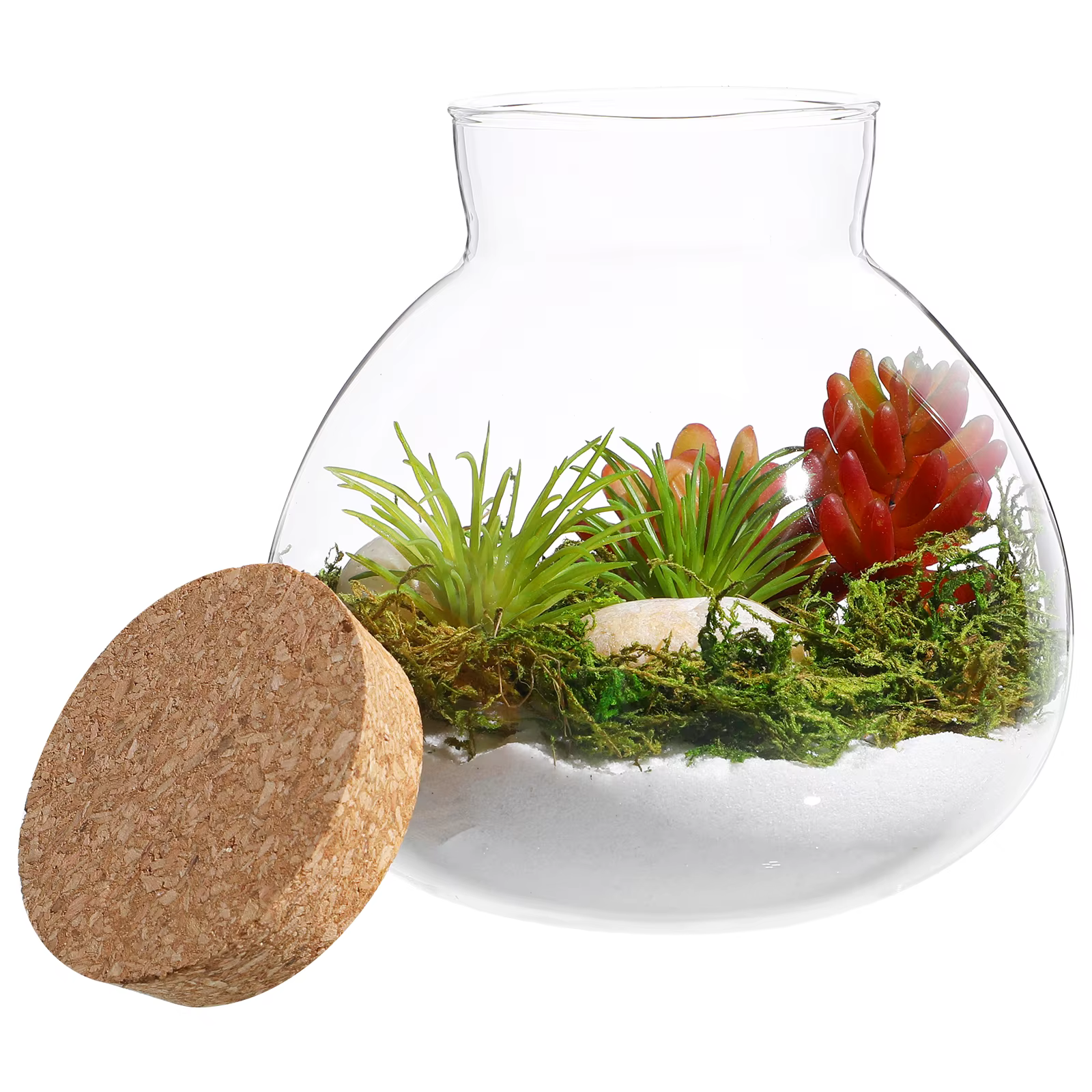 Bouteille écologique 15Cm X 16Cm