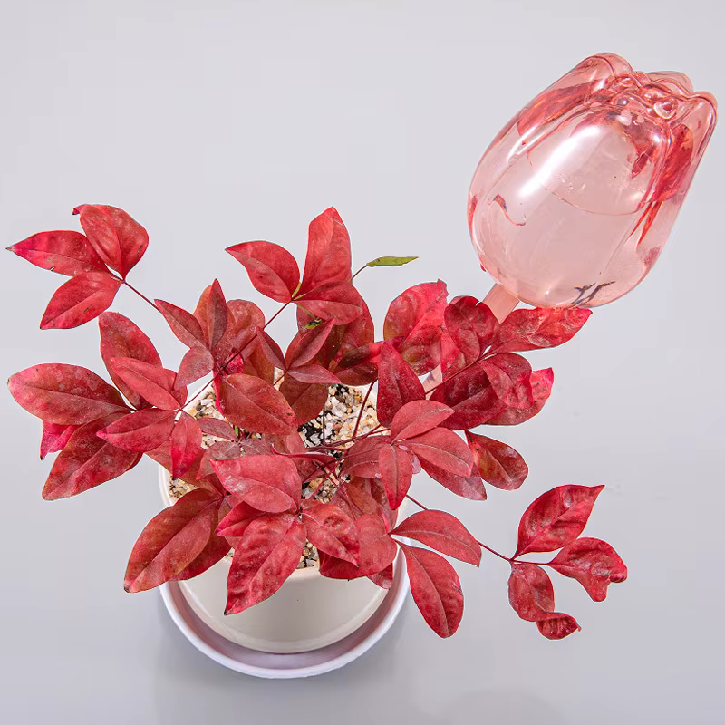 Boules d'arrosage pour plantes tulipes roses de jardin