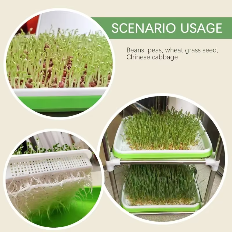 Plaque de germination hydroponique sans sol avec couvercle