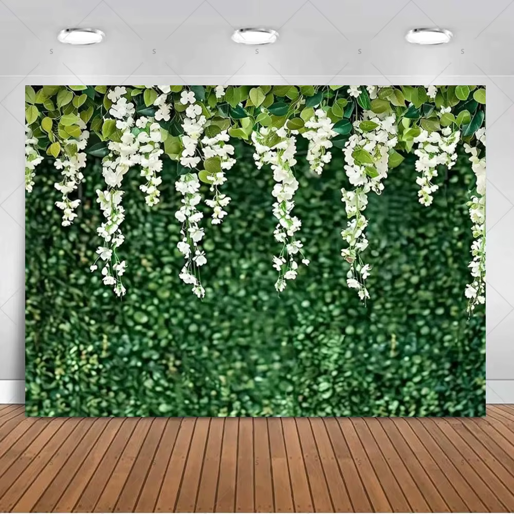 Plante tropicale herbe feuilles vertes photographie toile de fond Jungle feuille de palmier