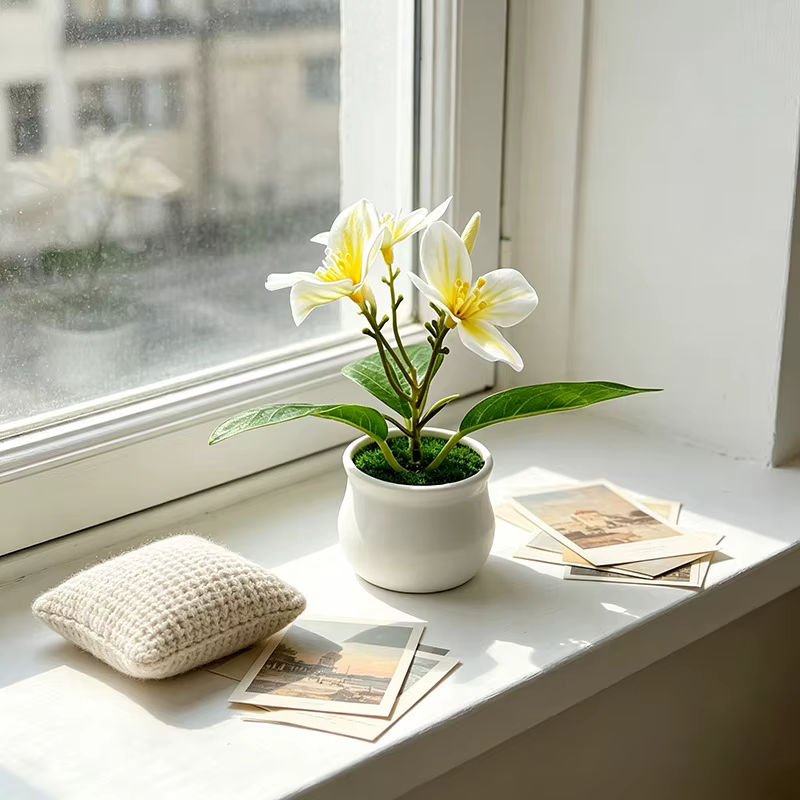 Plante d'orchidée compacte en pot pour usage intérieur et extérieur