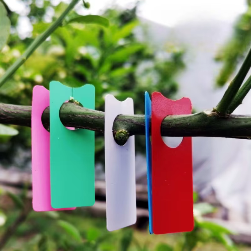 100 étiquettes pour plantes multifonctions