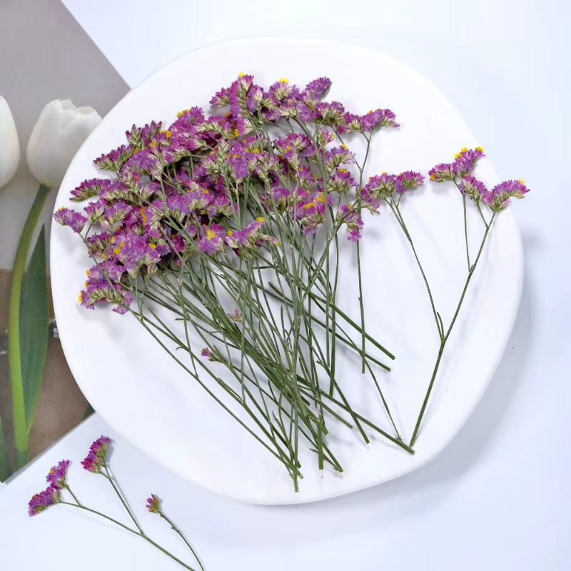 6 pièces, fleurs séchées pressées en herbe de cristal véritable