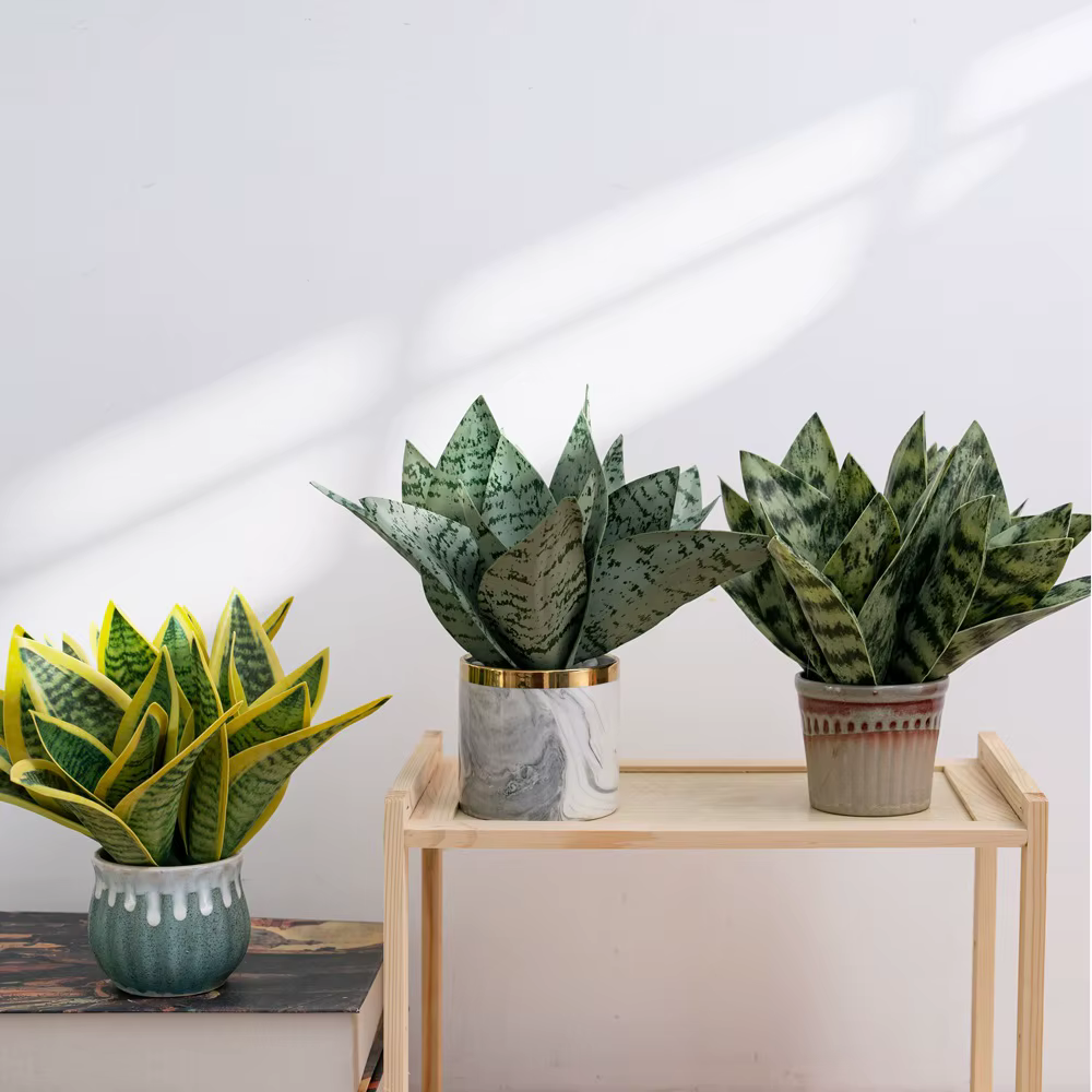 Plante serpent artificielle