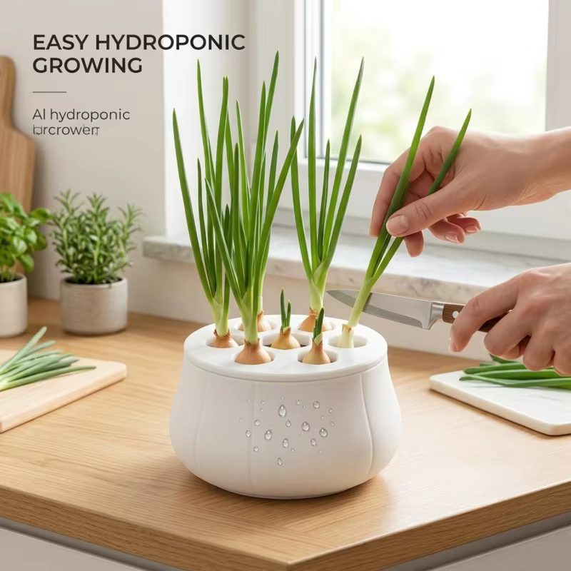 Kit de culture hydroponique réutilisable pour oignon vert
