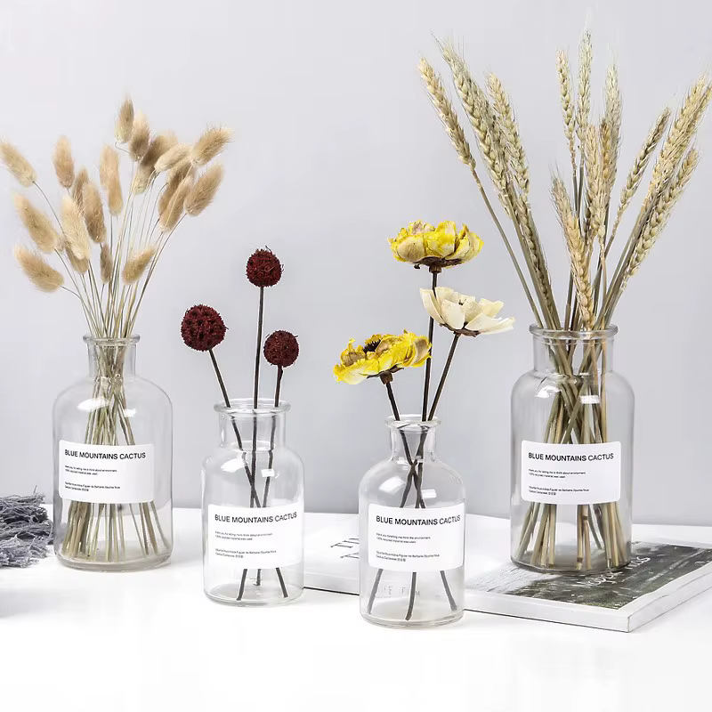 Vases à bourgeons en verre transparents modernes