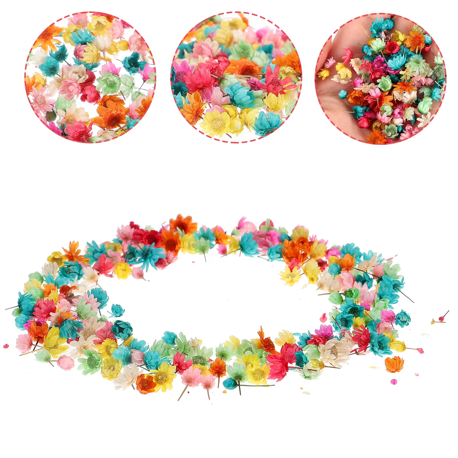 1 sac de fleurs séchées pour bricolage
