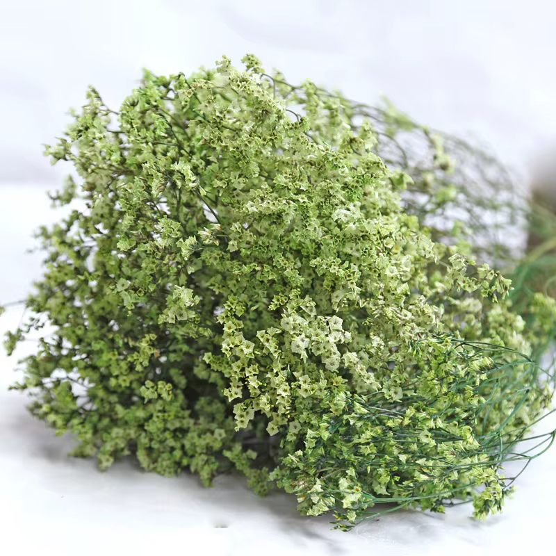 Fleurs naturelles séchées et conservées