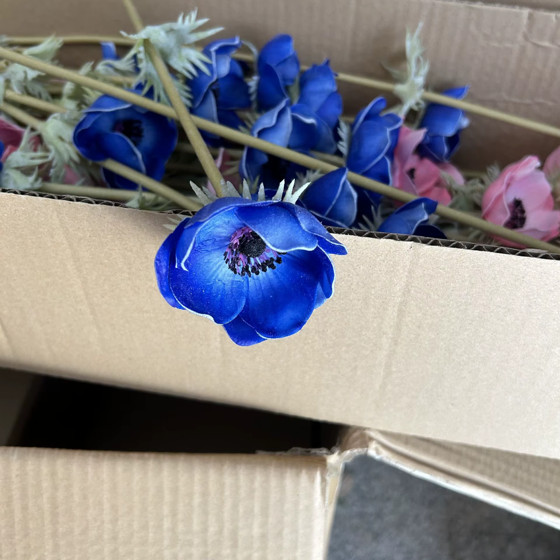 Fleurs d'anémone artificielles en PU