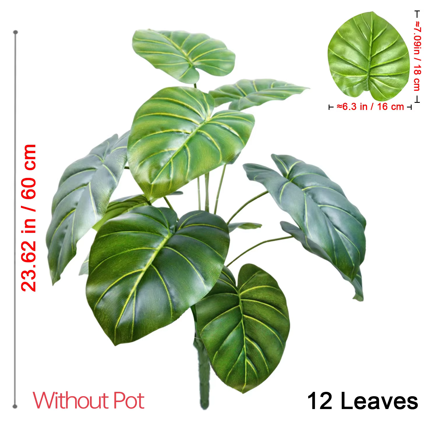 Plante Alocasia à grandes feuilles rondes de 60-105 cm