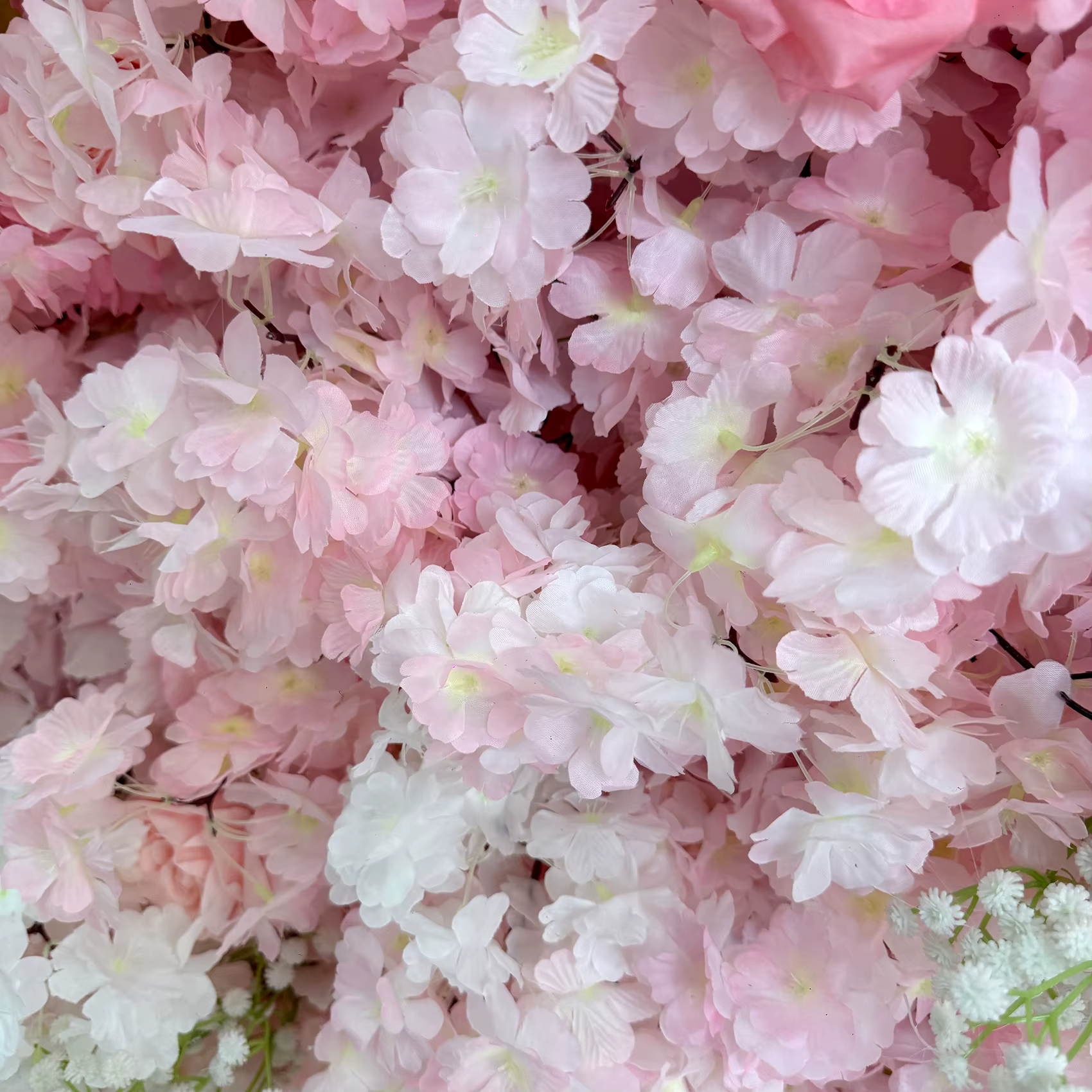Simulation de fleur de cerisier