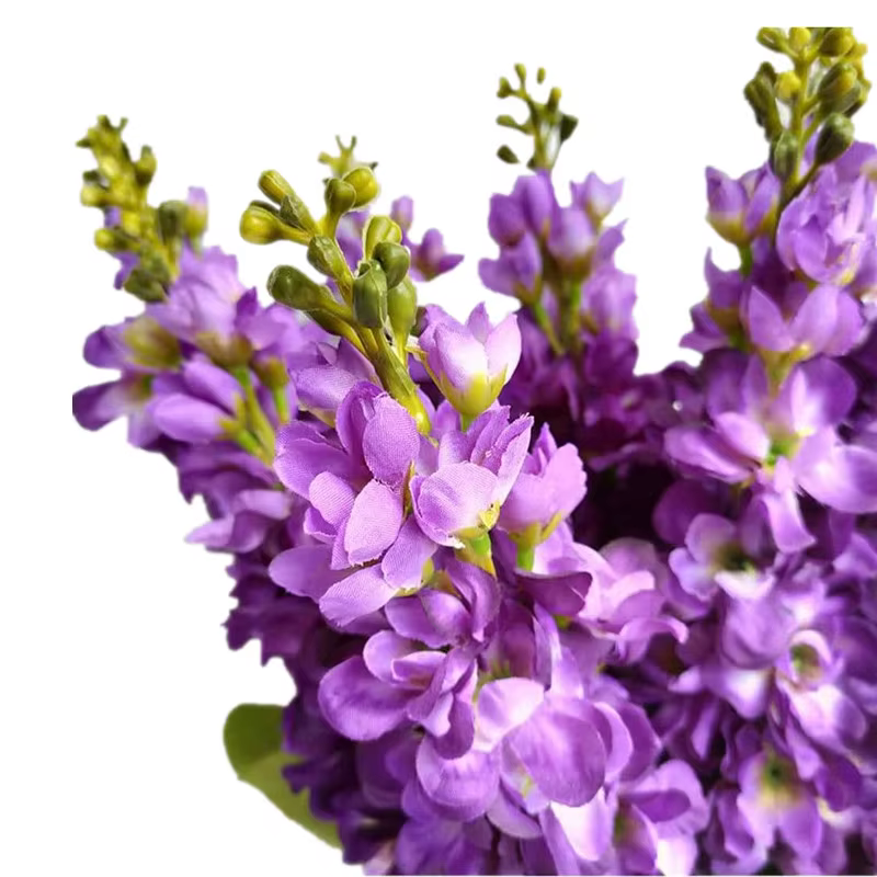 Gillyflower, une fleur artificielle