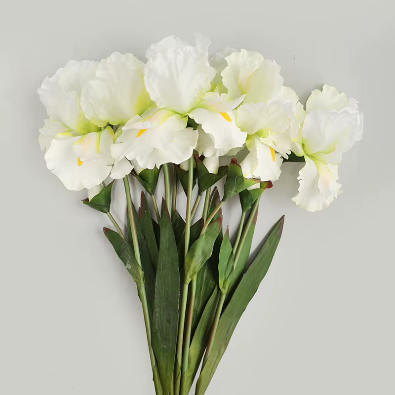 Fleurs injirlandaises Alice Iris