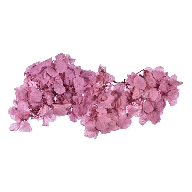Fleurs sèches naturelles pressées