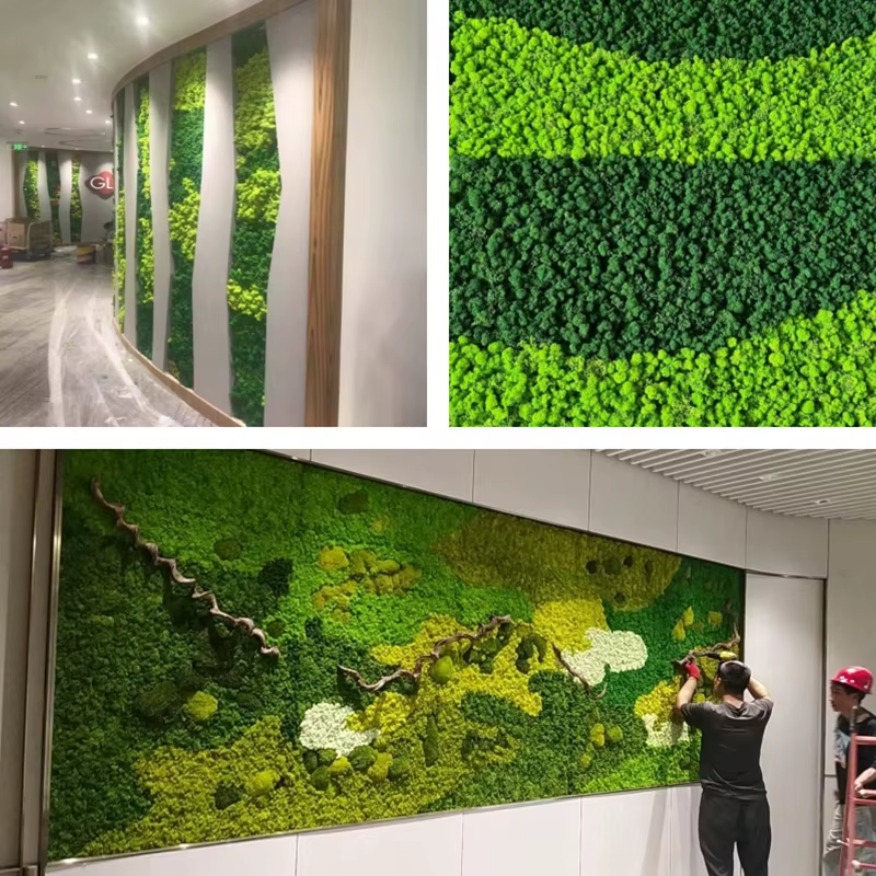 100/500/1000g pas cher HI-Q vert immortel mousse plantes d'herbe artificielle fausse fleur bricolage décor pour maison