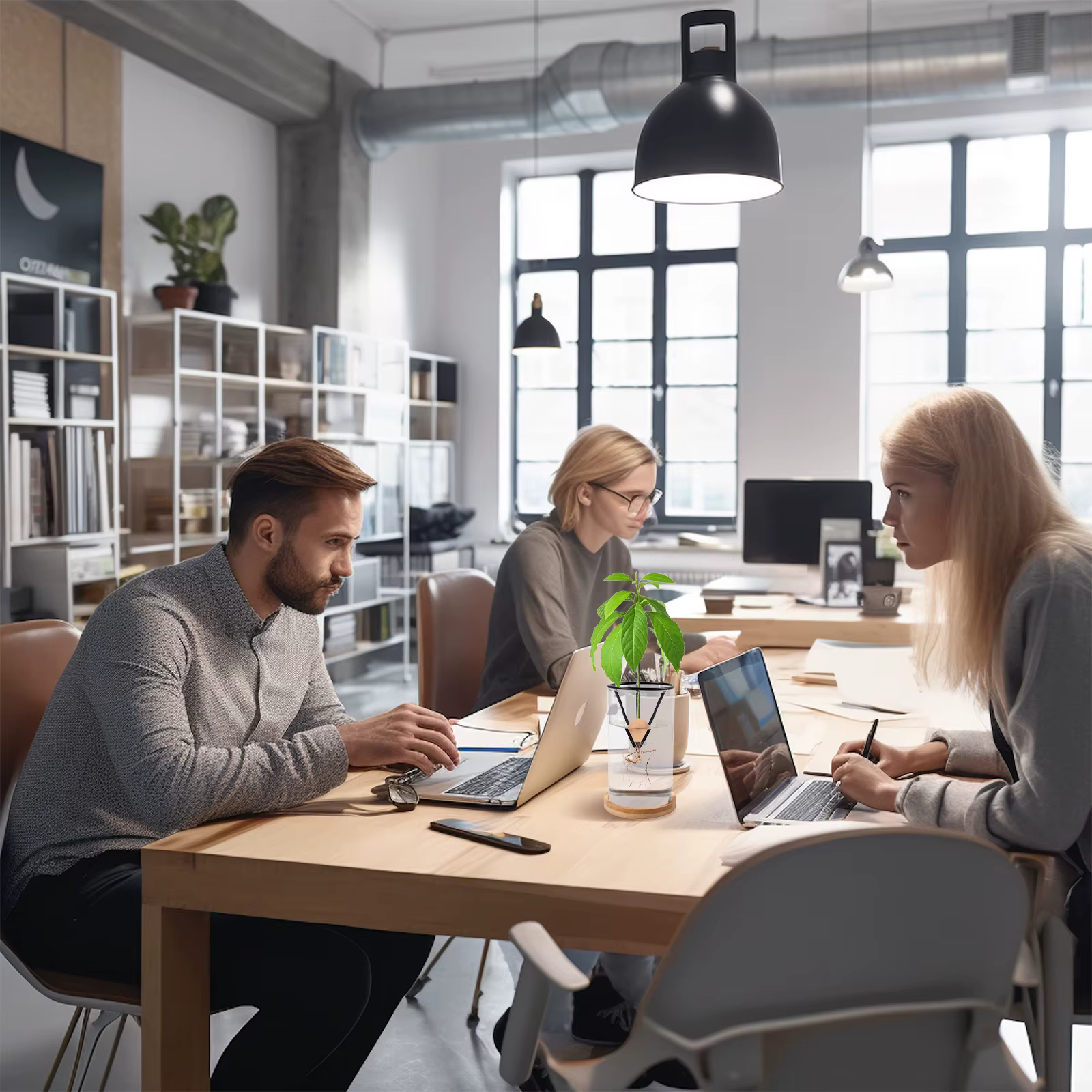 Germinateur d'avocat avec supports en métal conique