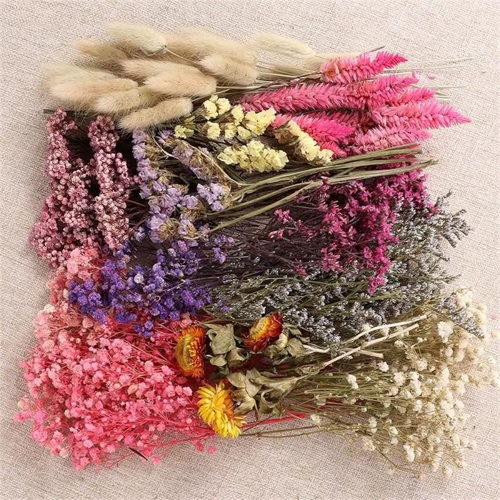 Boîte de matériaux floraux séchés en vrac pour l'artisanat