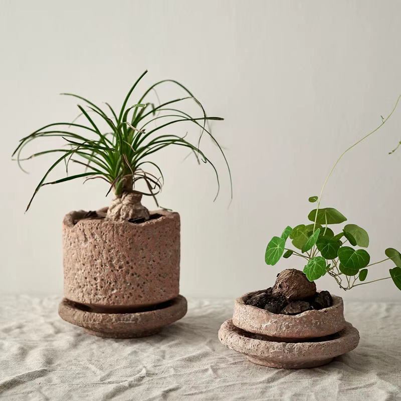Pot de Plante Verte Faite à la Main avec Plateau