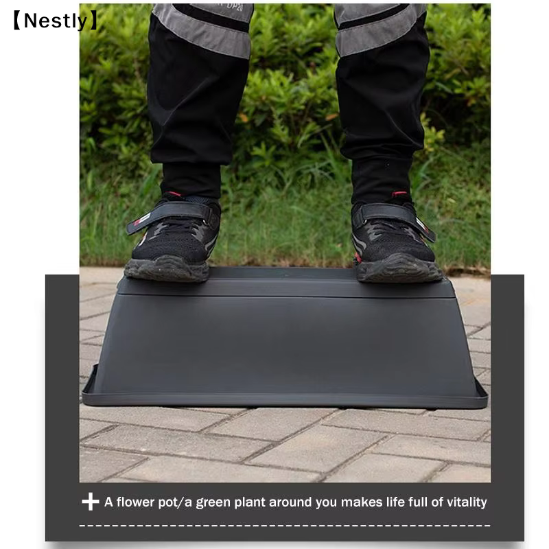 Pot de fleurs auto-absorbant pour culture de légumes d'intérieur avec trou de drainage et corde absorbante