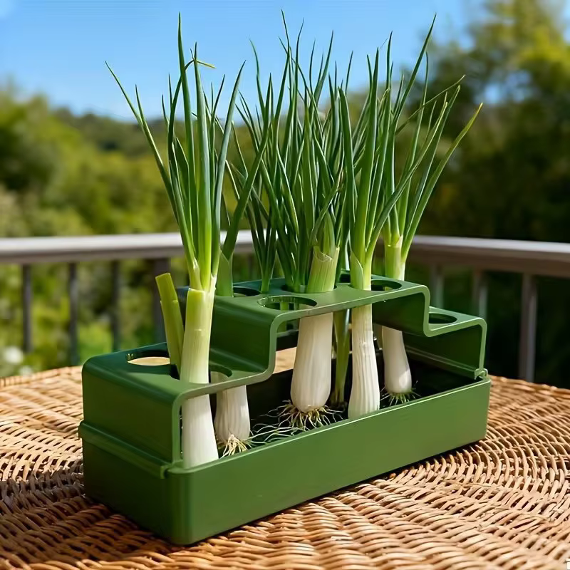 Boîte de culture hydroponique pour la repousse de plantes