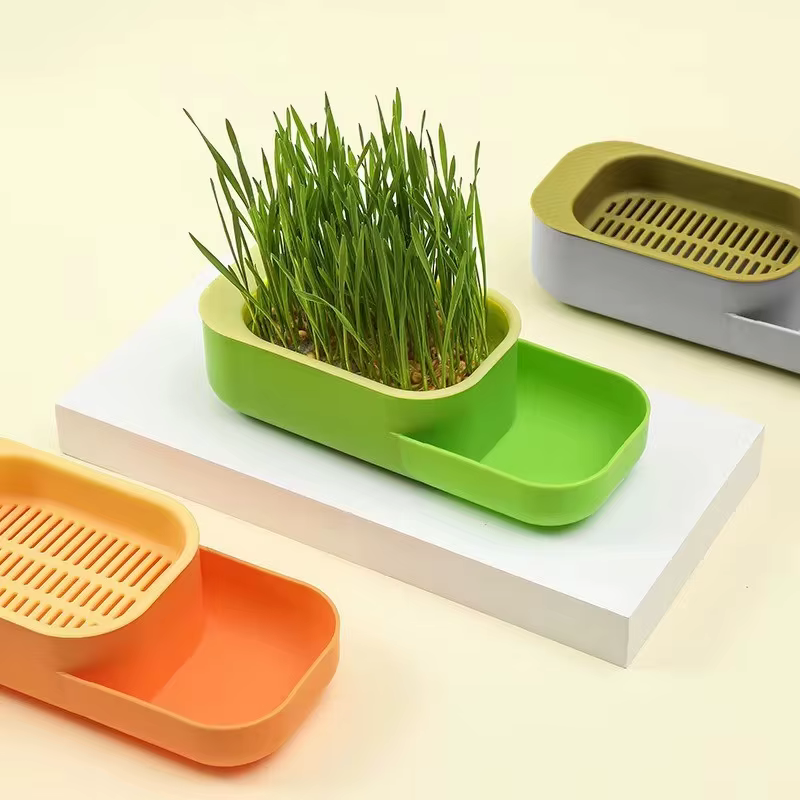 Boîte d'herbe à chat, plantation hydroponique sans sol