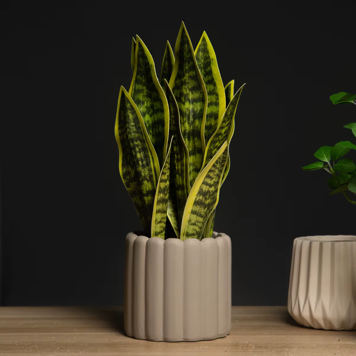 32/37cm plantes succulentes artificielles fausse Sansevieria intérieur fourrure de tigre tropicale